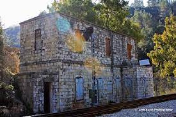 دير الشيخ / من قرى عرقوب | موسوعة القرى الفلسطينية