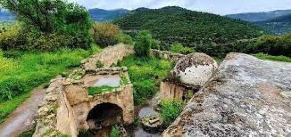 دير الشيخ / من قرى عرقوب | موسوعة القرى الفلسطينية