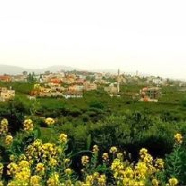 سيلَةْ الحارِثِيَّة | موسوعة القرى الفلسطينية