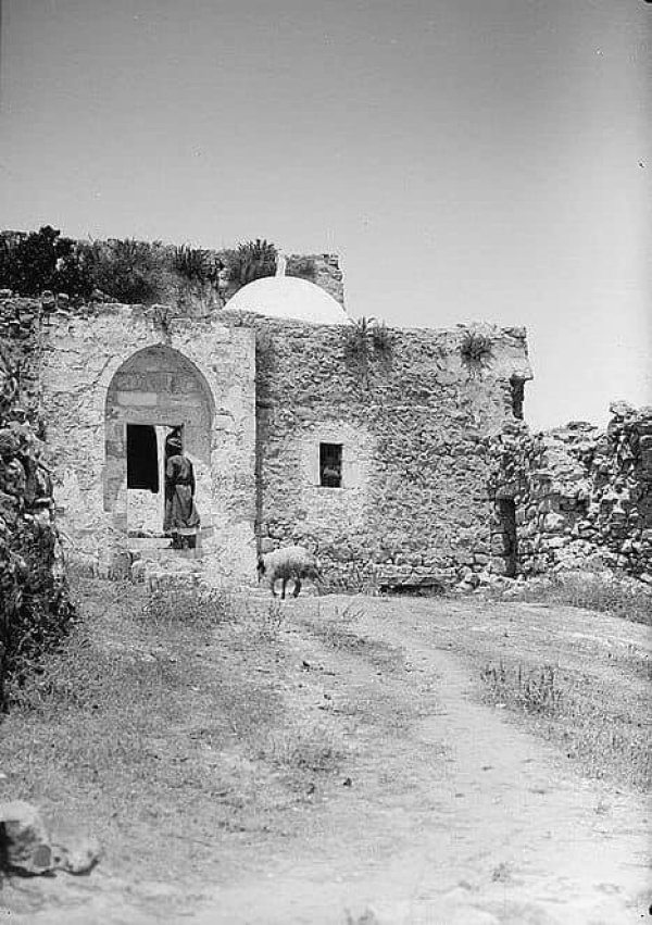 شرفات | موسوعة القرى الفلسطينية