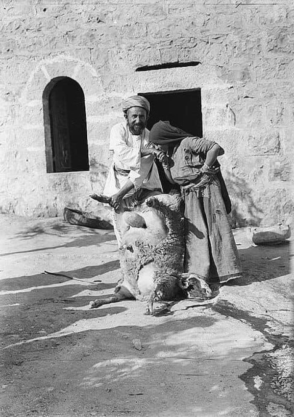 شرفات | موسوعة القرى الفلسطينية