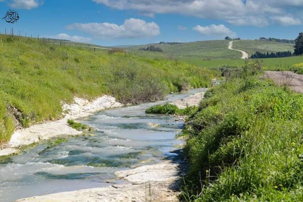 خبيزة / قرى الروحة | موسوعة القرى الفلسطينية
