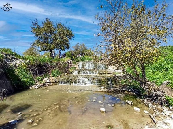 خبيزة / قرى الروحة | موسوعة القرى الفلسطينية