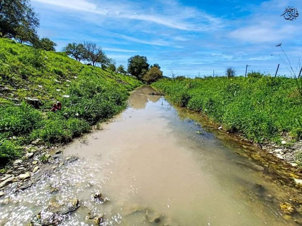 خبيزة / قرى الروحة | موسوعة القرى الفلسطينية
