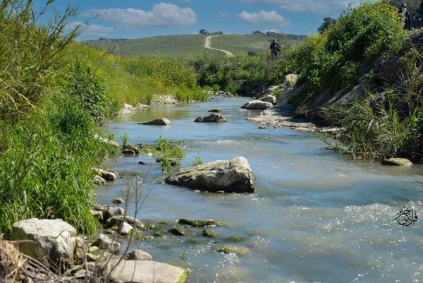 خبيزة / قرى الروحة | موسوعة القرى الفلسطينية