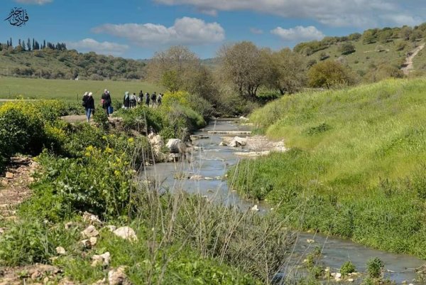 خبيزة / قرى الروحة | موسوعة القرى الفلسطينية