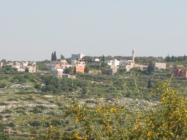 العَرَقَة/ عَرَقَة | موسوعة القرى الفلسطينية