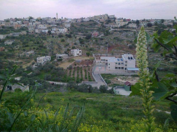 العَرَقَة/ عَرَقَة | موسوعة القرى الفلسطينية