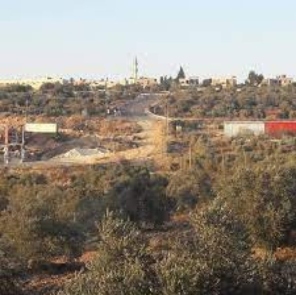 نَزْلَة الشَيْخ زَيْد/ نَزْلَة زَيْد | موسوعة القرى الفلسطينية