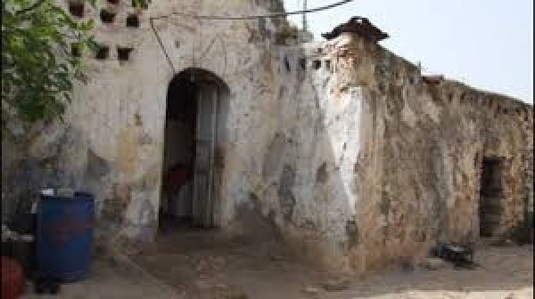 نَزْلَة الشَيْخ زَيْد/ نَزْلَة زَيْد | موسوعة القرى الفلسطينية