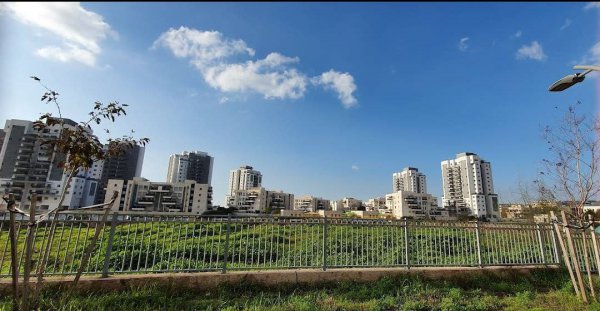 القُسْطِيْنة/ قُسْطِيْنِة | موسوعة القرى الفلسطينية