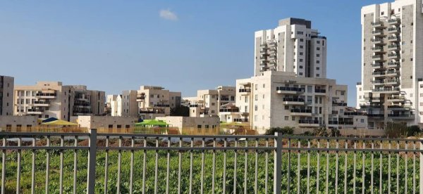 القُسْطِيْنة/ قُسْطِيْنِة | موسوعة القرى الفلسطينية