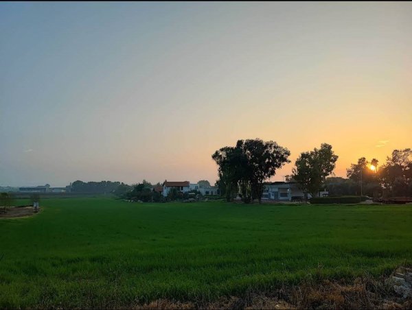 القُسْطِيْنة/ قُسْطِيْنِة | موسوعة القرى الفلسطينية