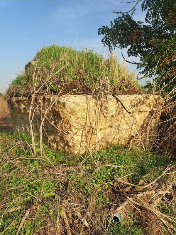 القُسْطِيْنة/ قُسْطِيْنِة | موسوعة القرى الفلسطينية