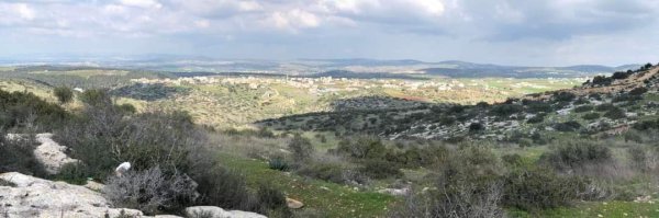 أمُّ التُوْت | موسوعة القرى الفلسطينية