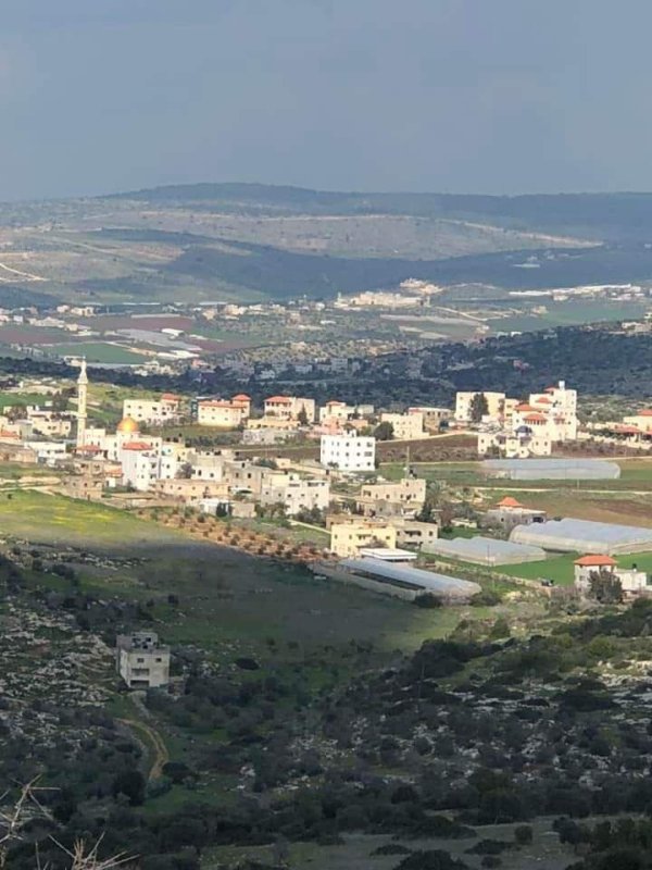 أمُّ التُوْت | موسوعة القرى الفلسطينية