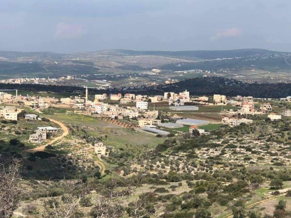 أمُّ التُوْت | موسوعة القرى الفلسطينية