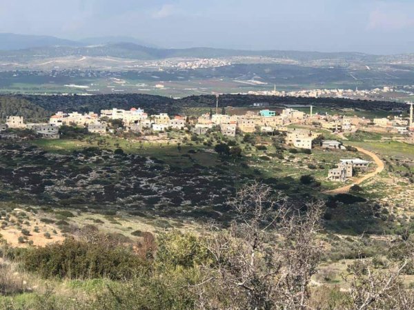 أمُّ التُوْت | موسوعة القرى الفلسطينية