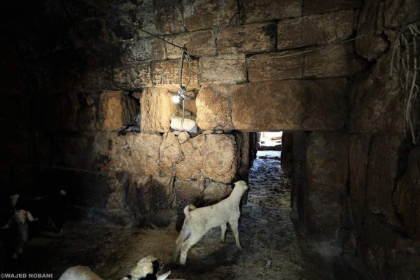 الزَبابِدَة | موسوعة القرى الفلسطينية