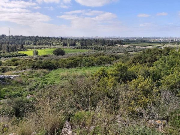 أُم الفَحْم/ قرى جنين المحتلة عام 1949 | موسوعة القرى الفلسطينية