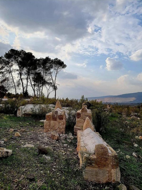 لُوبِيَا/ لُوبِيَة | موسوعة القرى الفلسطينية