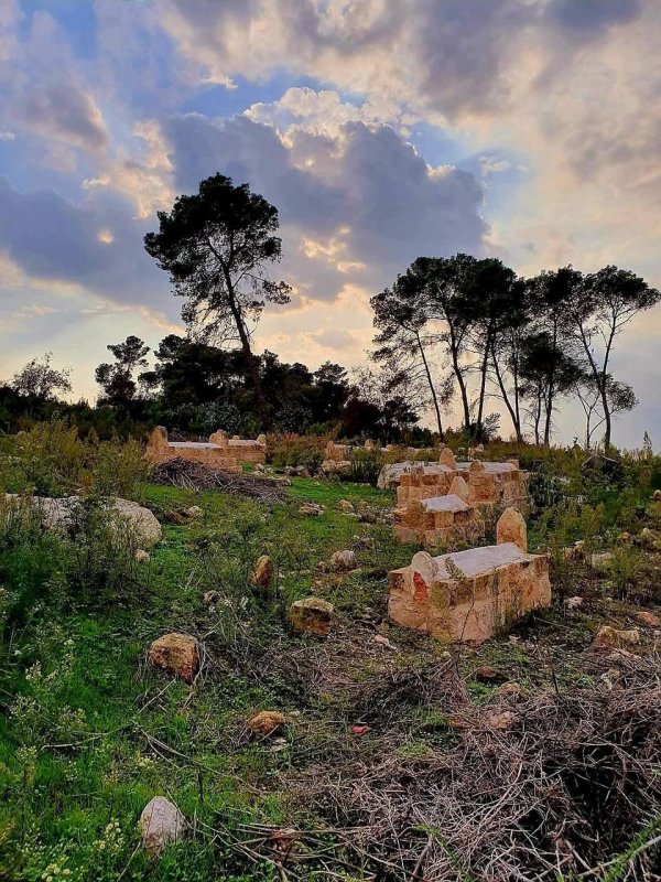 لُوبِيَا/ لُوبِيَة | موسوعة القرى الفلسطينية