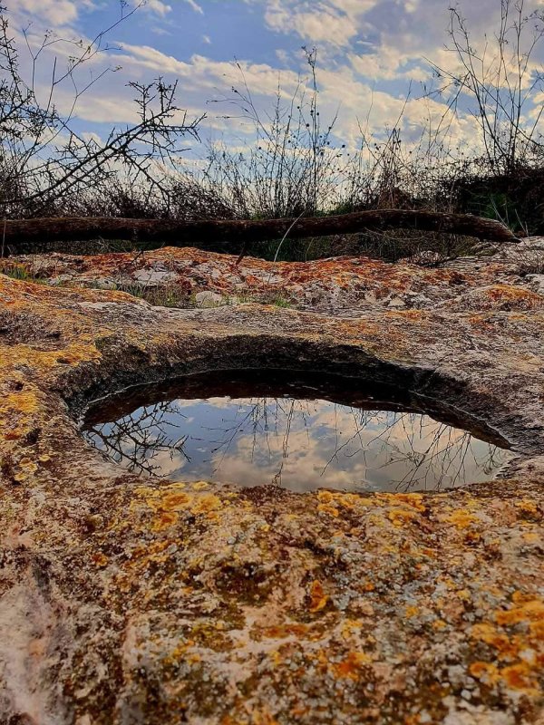 لُوبِيَا/ لُوبِيَة | موسوعة القرى الفلسطينية