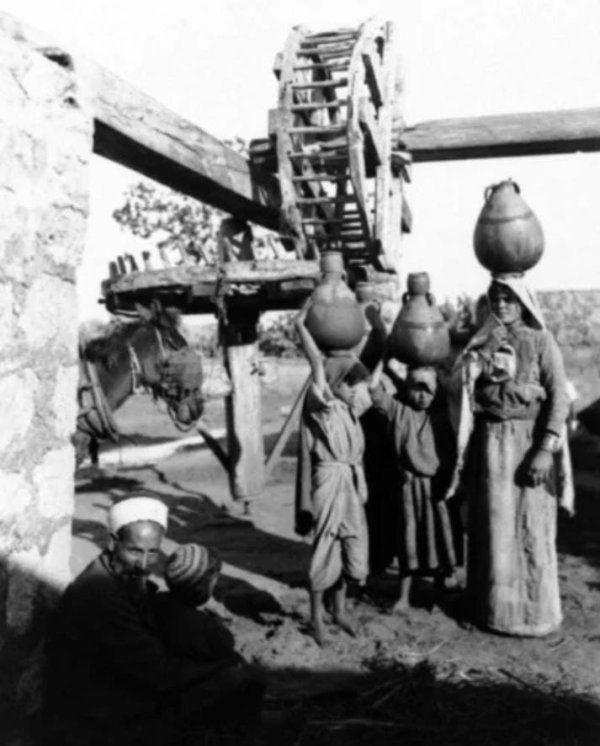 زرنوقة / زرنوقا | موسوعة القرى الفلسطينية