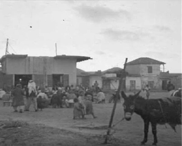 زرنوقة / زرنوقا | موسوعة القرى الفلسطينية