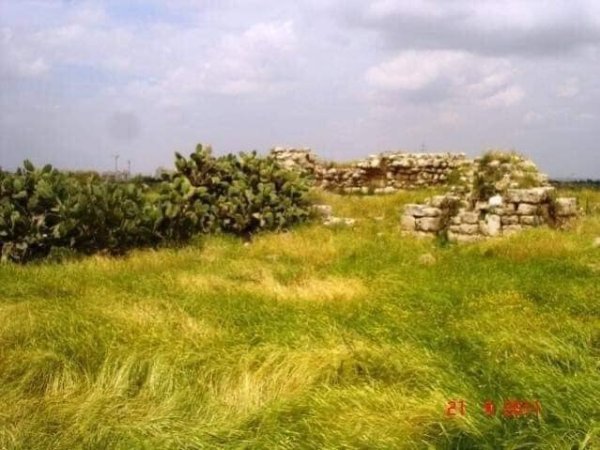 أبو الفضل/ السطري/ عرب أبو الفضل | موسوعة القرى الفلسطينية