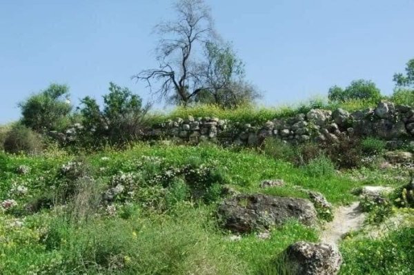 أبو الفضل/ السطري/ عرب أبو الفضل | موسوعة القرى الفلسطينية