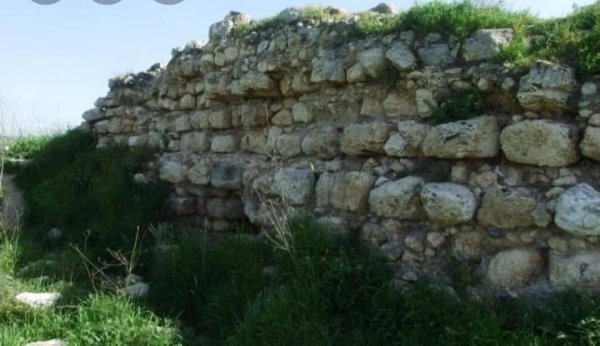 أبو الفضل/ السطري/ عرب أبو الفضل | موسوعة القرى الفلسطينية