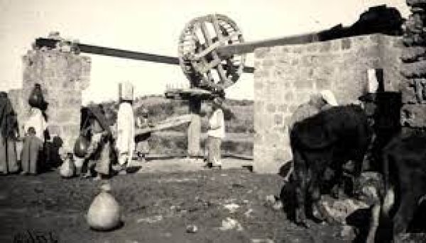 زرنوقة / زرنوقا | موسوعة القرى الفلسطينية