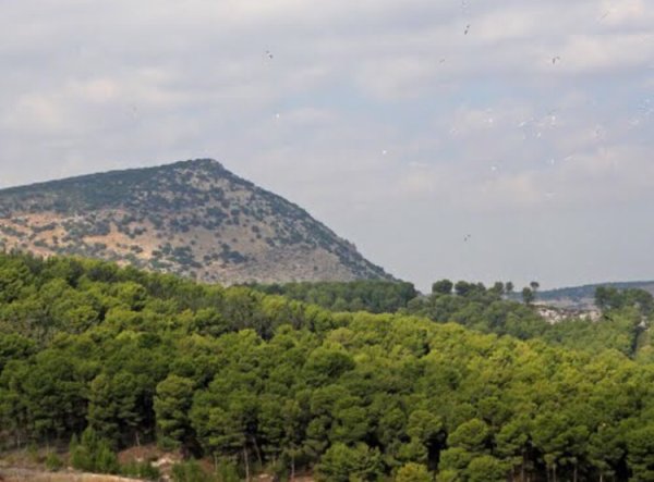 دَلاّتَه/ دَلاّتَة | موسوعة القرى الفلسطينية