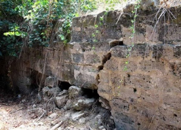 أم الفرج | موسوعة القرى الفلسطينية