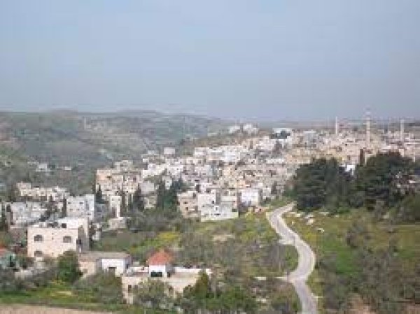 عَرَّابَة | موسوعة القرى الفلسطينية