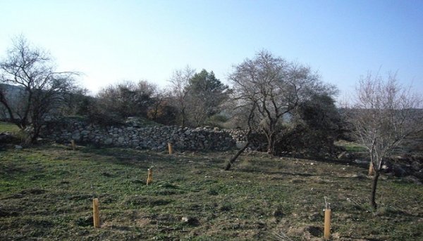 بيت ام الميس / خربة ام الميس | موسوعة القرى الفلسطينية