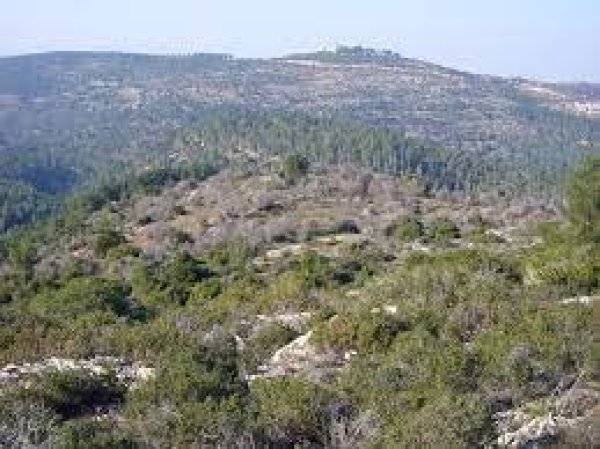 بيت ام الميس / خربة ام الميس | موسوعة القرى الفلسطينية