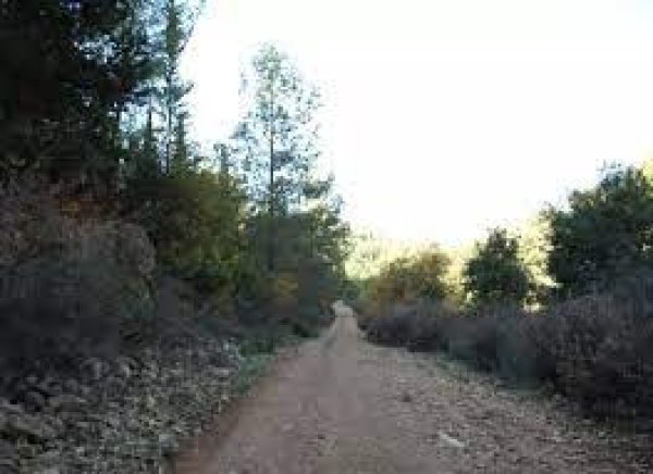 بيت ام الميس / خربة ام الميس | موسوعة القرى الفلسطينية