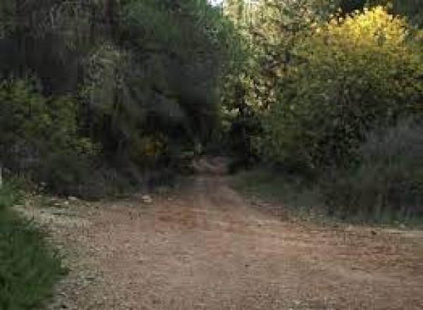 بيت ام الميس / خربة ام الميس | موسوعة القرى الفلسطينية