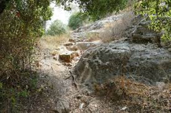 دير الشيخ / من قرى عرقوب | موسوعة القرى الفلسطينية