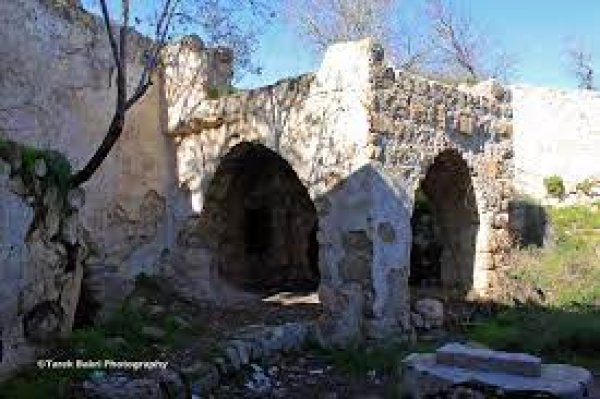 دير الشيخ / من قرى عرقوب | موسوعة القرى الفلسطينية