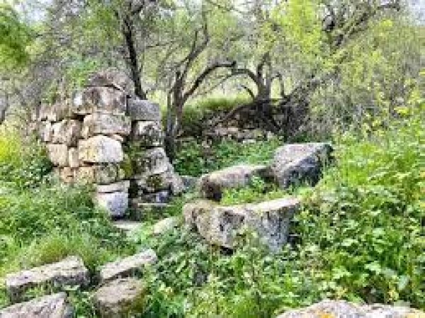 دير الشيخ / من قرى عرقوب | موسوعة القرى الفلسطينية