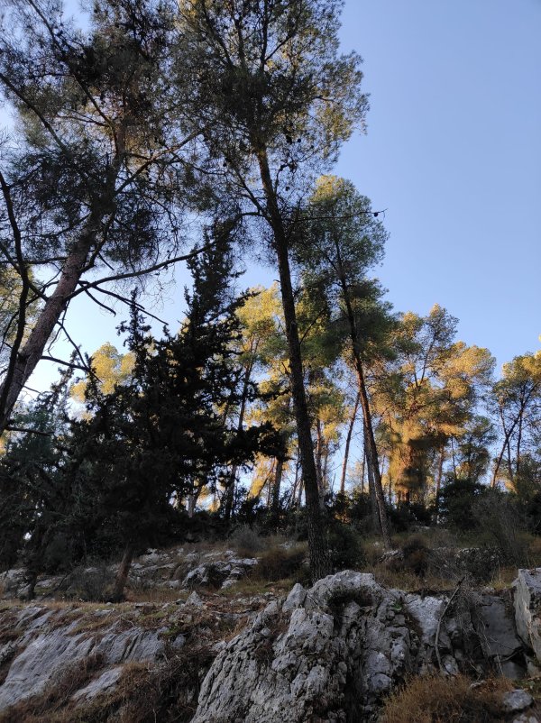 كسلا / من قرى عرقوب | موسوعة القرى الفلسطينية