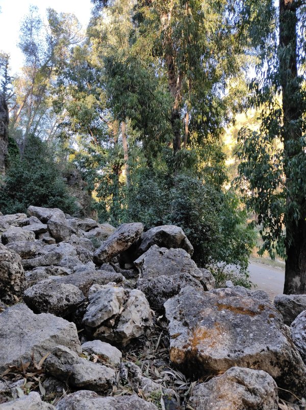 كسلا / من قرى عرقوب | موسوعة القرى الفلسطينية