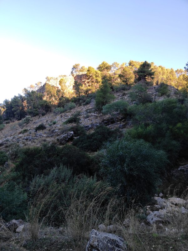 كسلا / من قرى عرقوب | موسوعة القرى الفلسطينية