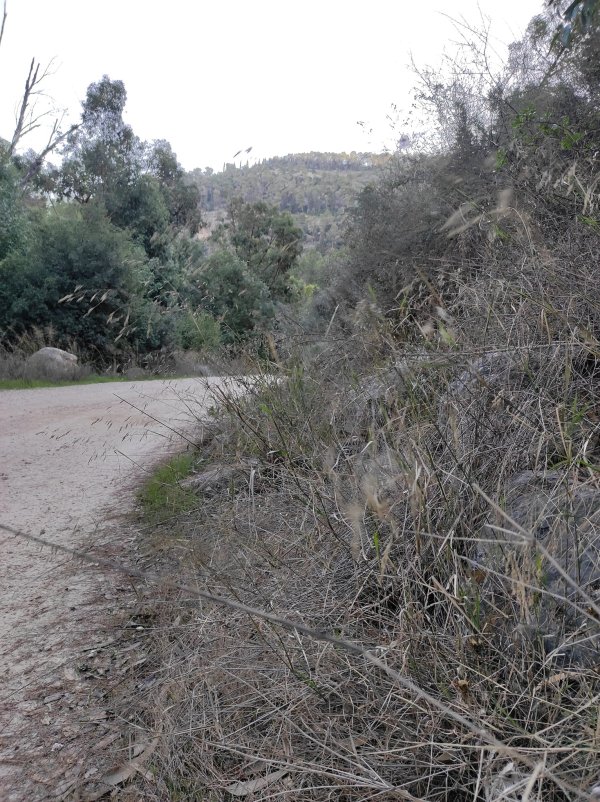 كسلا / من قرى عرقوب | موسوعة القرى الفلسطينية