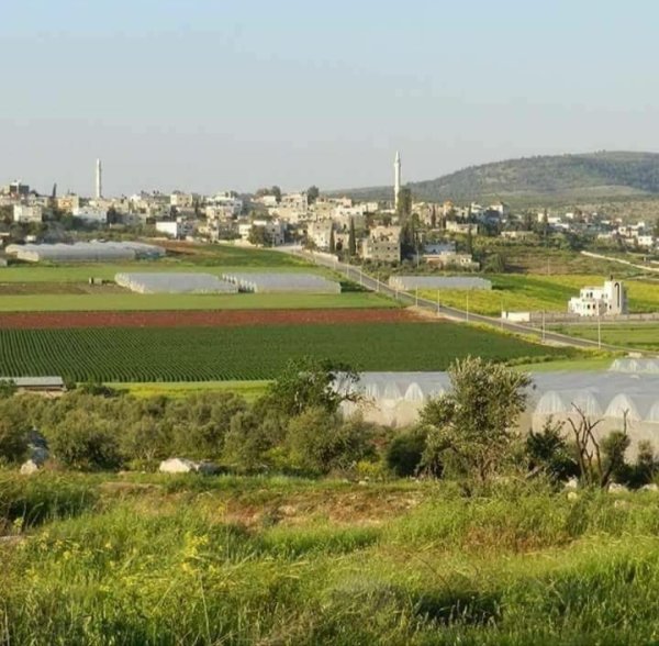 عَرَّانَة | موسوعة القرى الفلسطينية