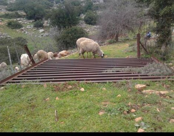 الحسينية | موسوعة القرى الفلسطينية