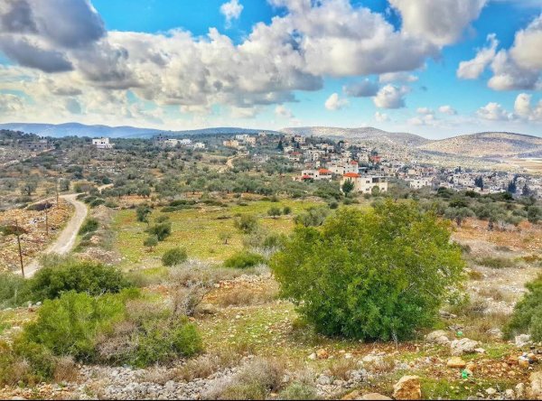 مِسِلْيَة | موسوعة القرى الفلسطينية